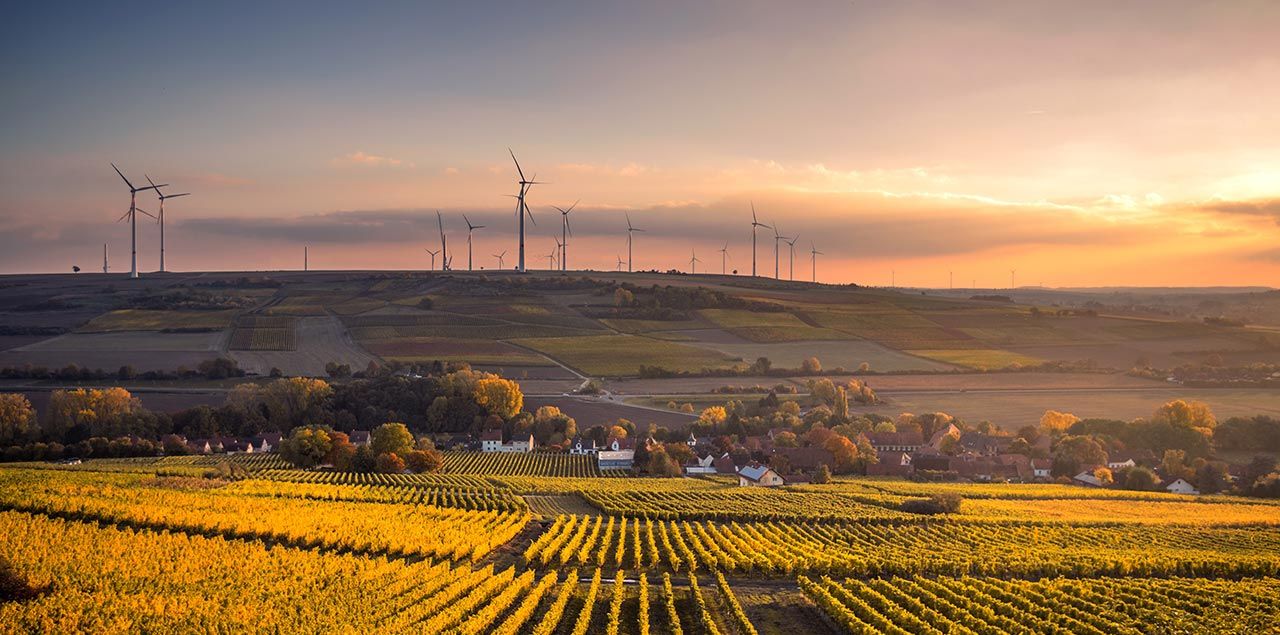 Foto: Karsten Würth / CC0 (via Unsplash)