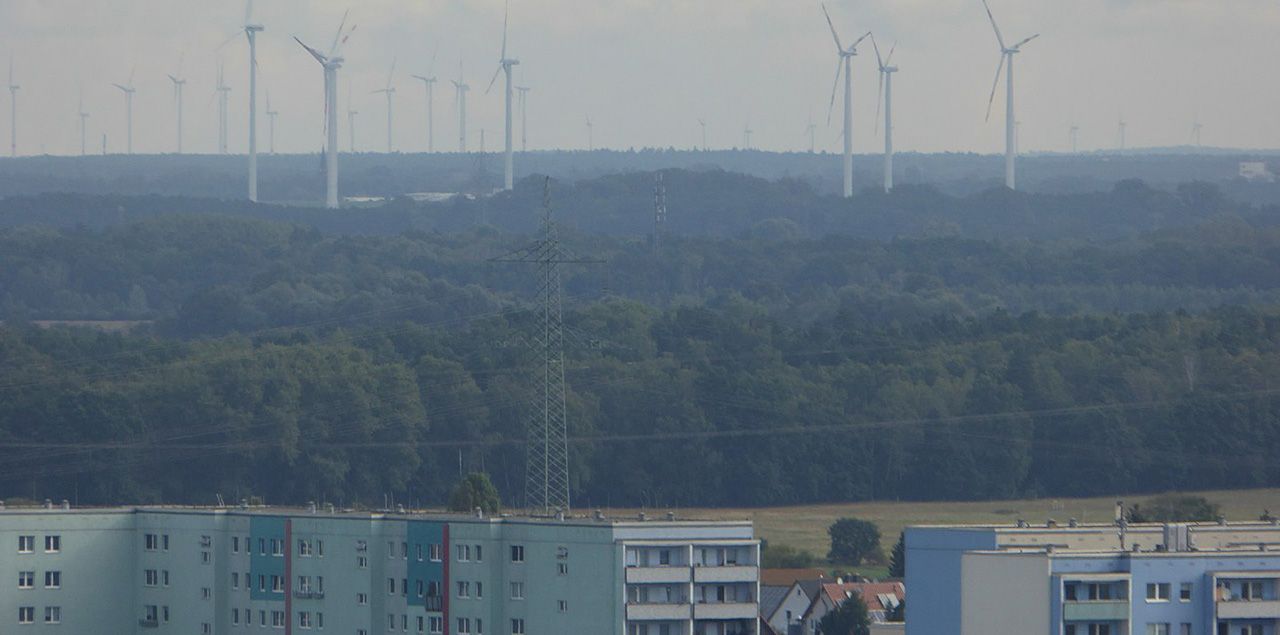 Foto: Molgreen / CC BY-SA 4.0 (via Wikimedia Commons)
