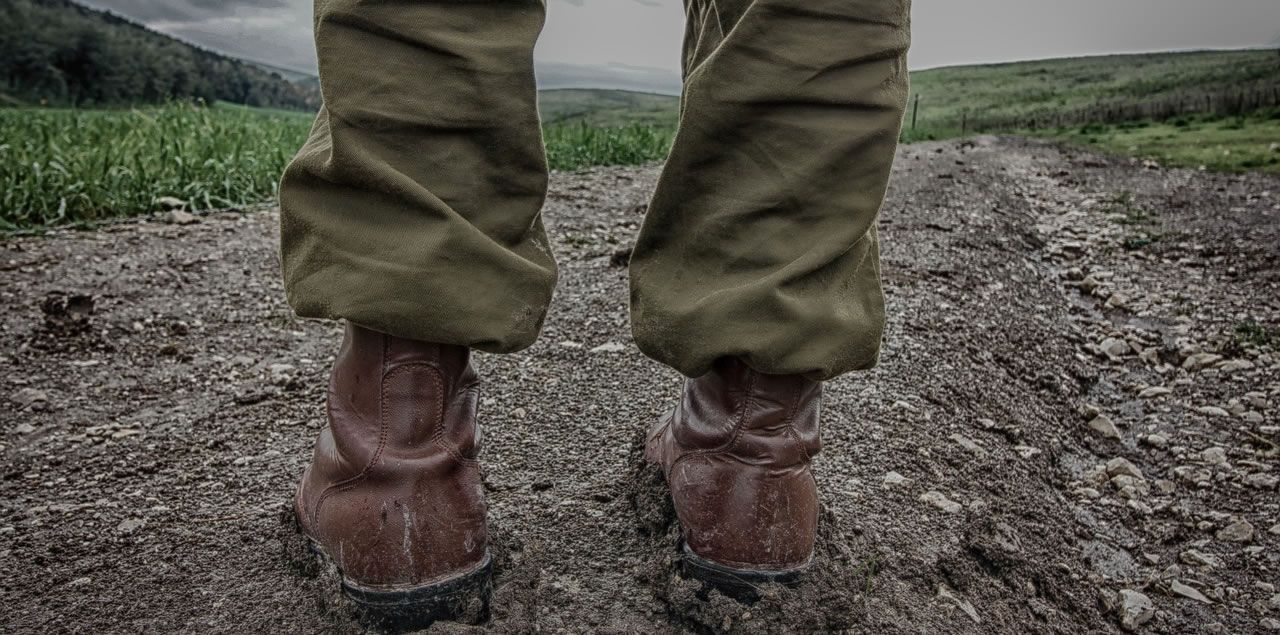 Foto: Gidon Pico / CC0 (via Pixabay)