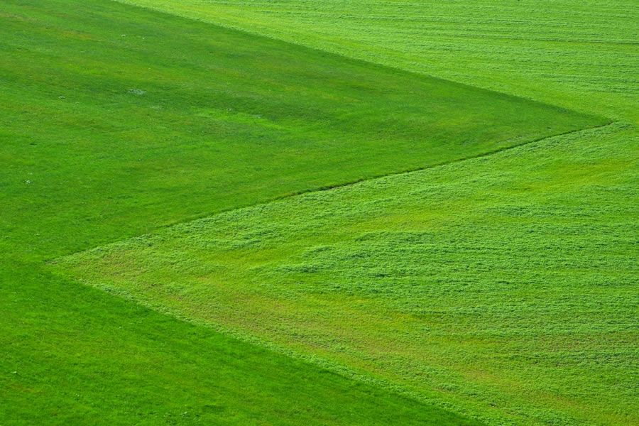 Foto:  LoggaWiggler / CC0 via Pixabay