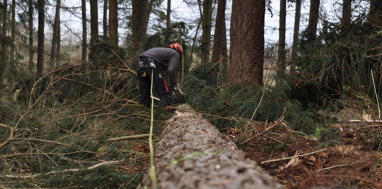 Foto: hagenstaadt / CC0 (via Pixabay)