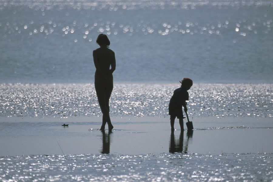 Foto: J. Koetter / CC0 via Pixabay