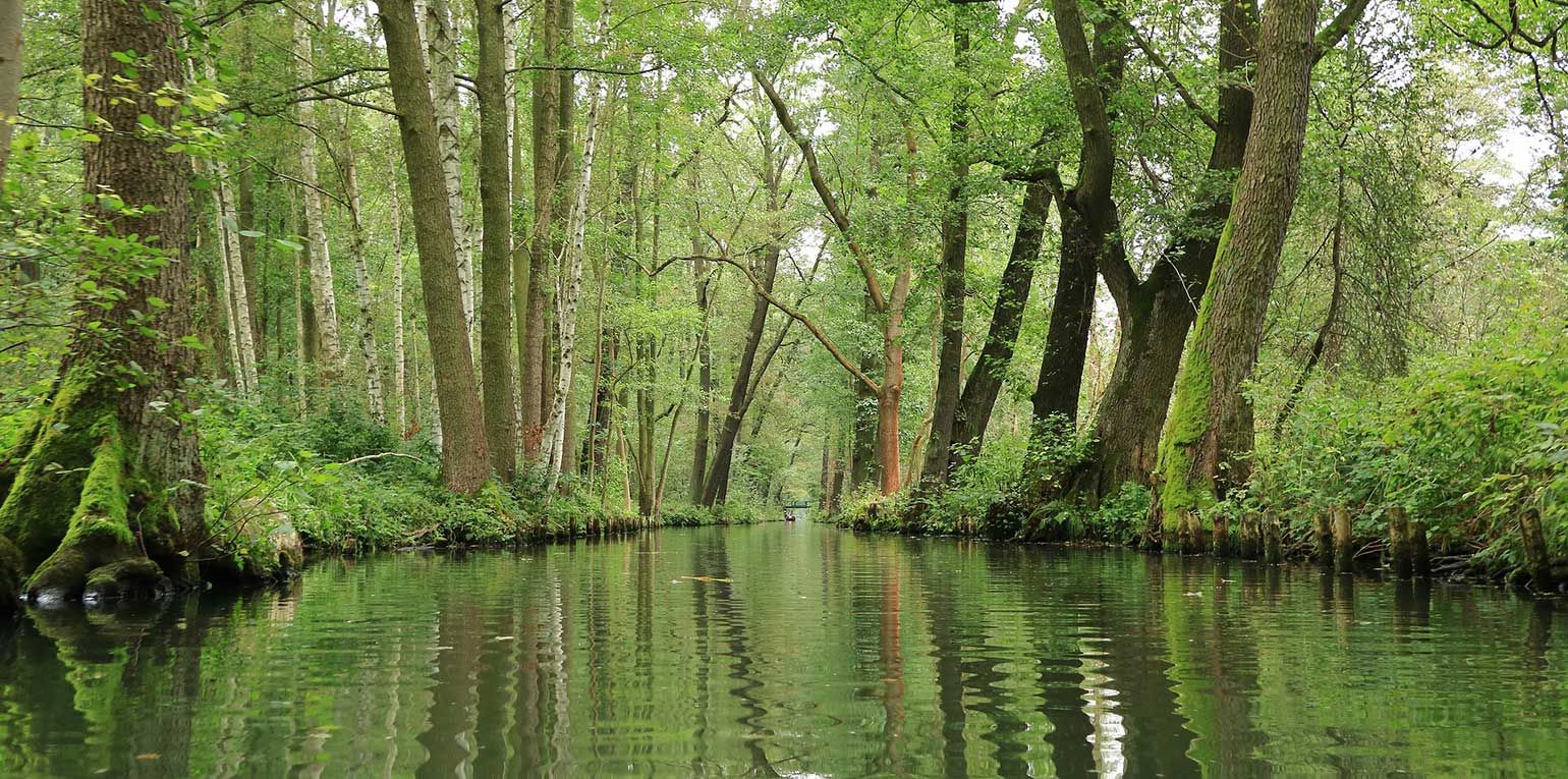 Die extremen Wasserprobleme der Lausitz müssen endlich überregional und vor allem konzentriert angefasst werden.
