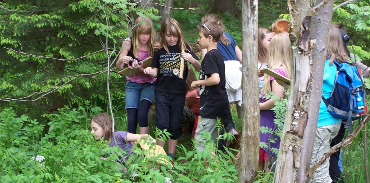 Foto: Hermann Zawadski