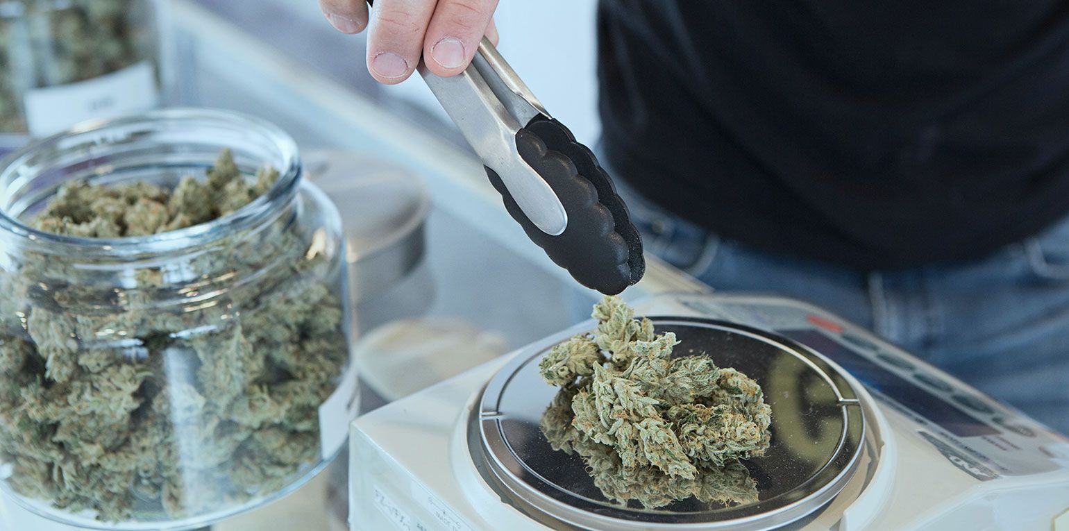 Foto: Add Weed