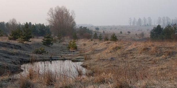 Stillgewässer im FFH-Gebiet „Krahnberg-Kriegberg“ bei Gotha
