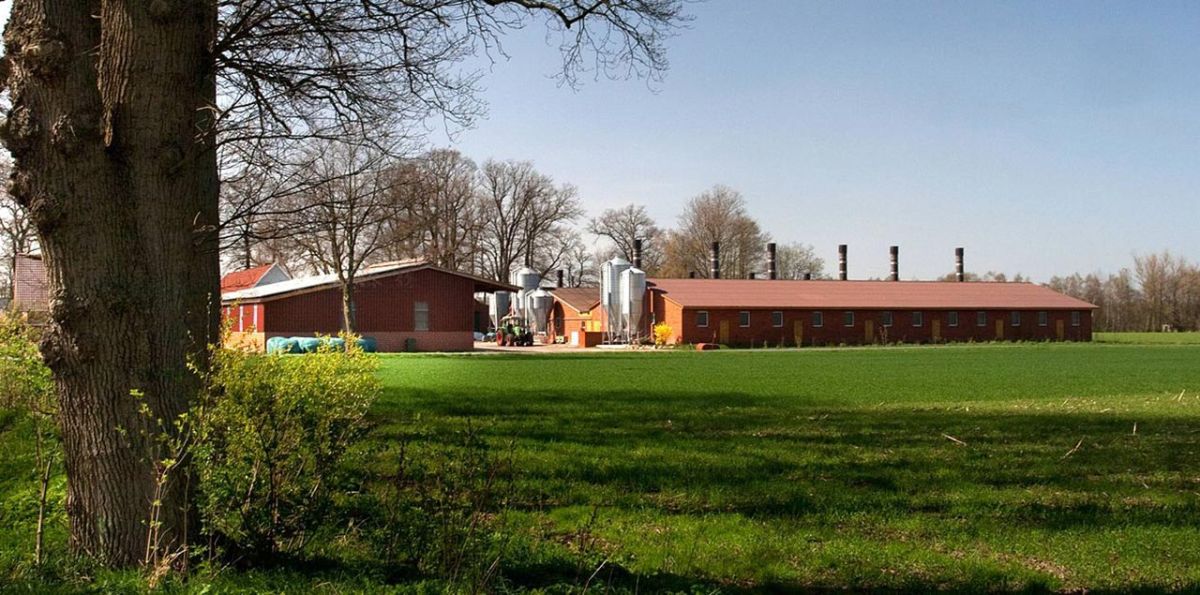 Stallanlage im niedersächsischen „Schweinegürtel“
