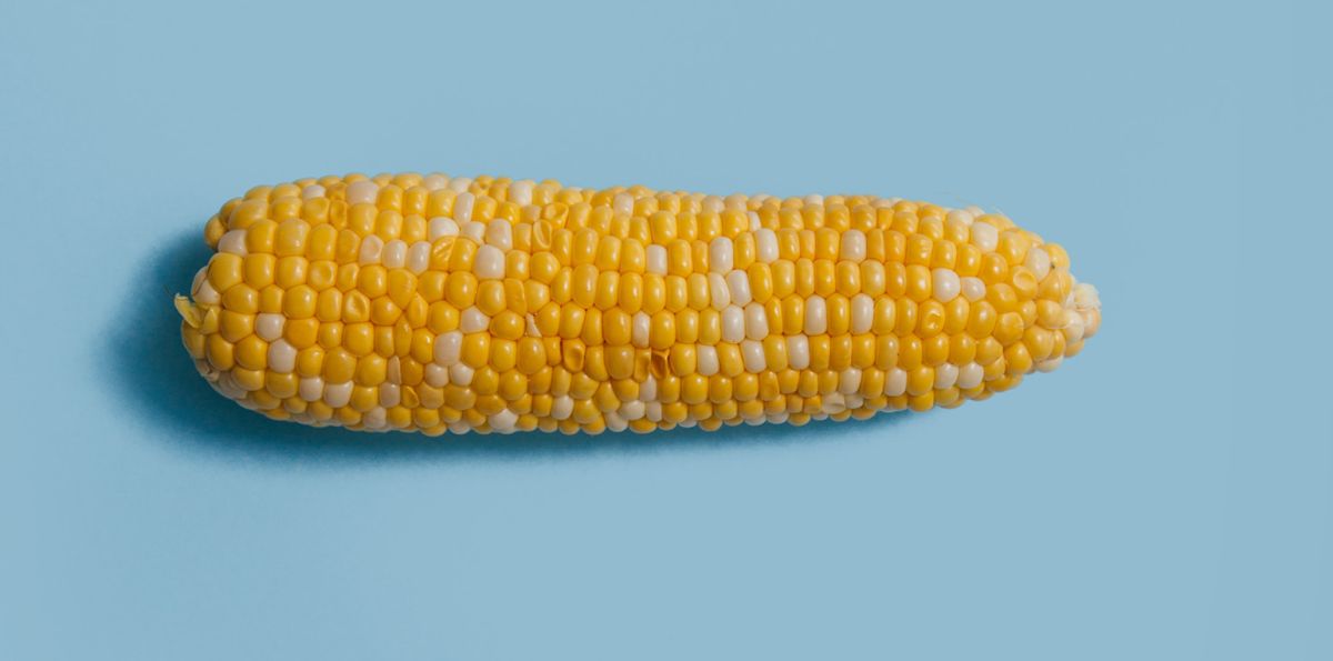 Exporteure versuchen Gen-gepanschten Mais in Europa unter die Leute zu bringen und damit deutsche Landwirte und Verbraucher zu täuschen.