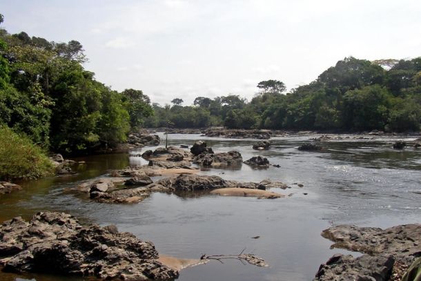 Epulu-Fluss im Okapi-Wildtierreservat