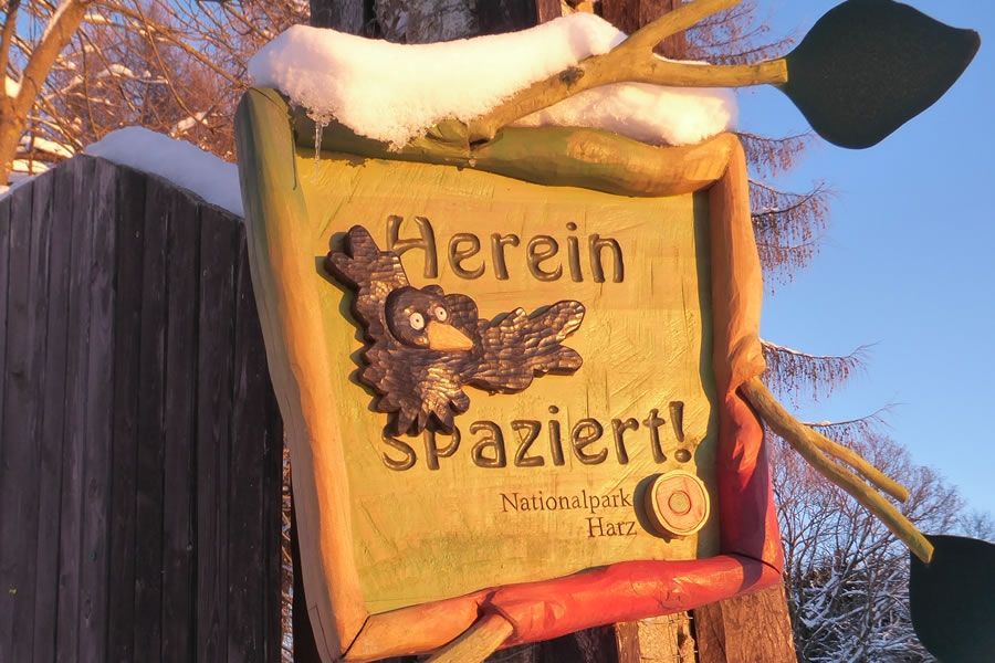 Foto: Nationalpark Harz