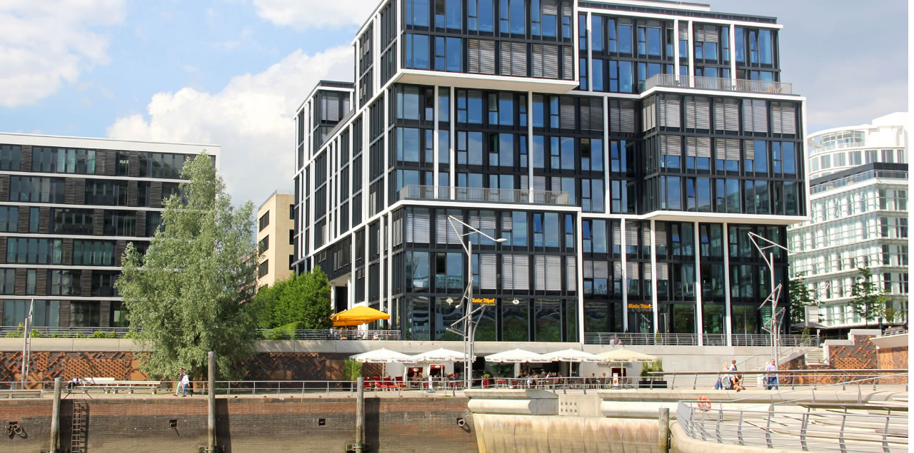 Foto: obs/MSH Medical School Hamburg/Parham Khorrami