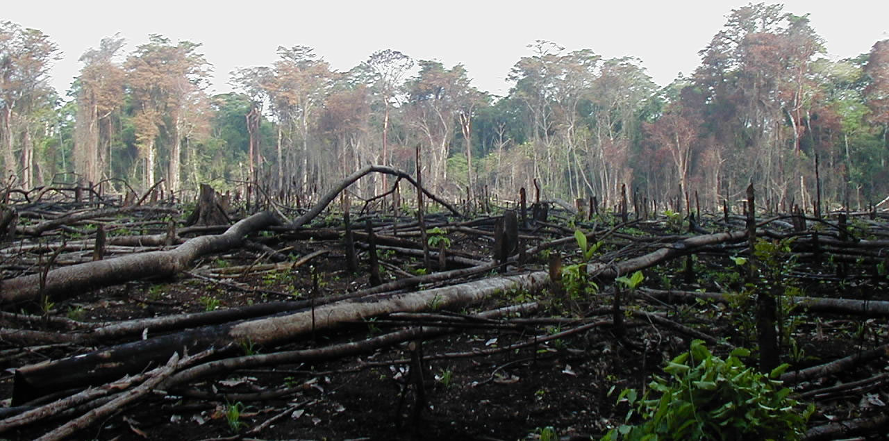 Foto: Jami Dwyer / Gemeinfrei (via Wikimedia Commons)