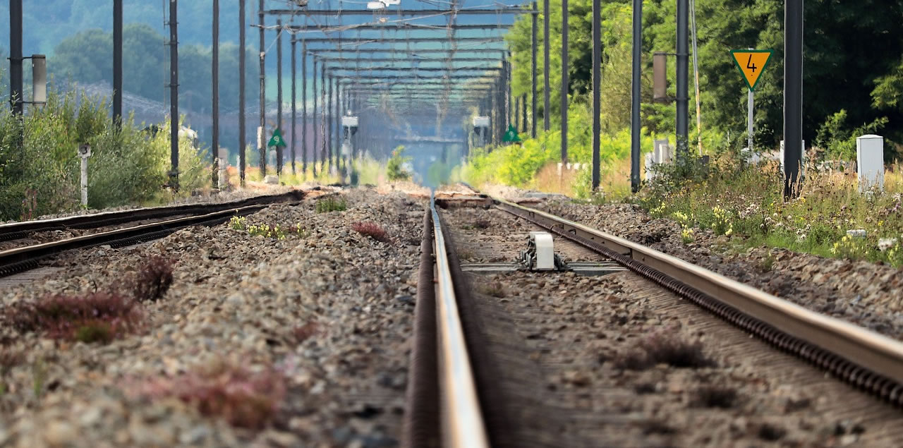 Foto: S. Hermann & F. Richter / CC0 (via Pixabay)