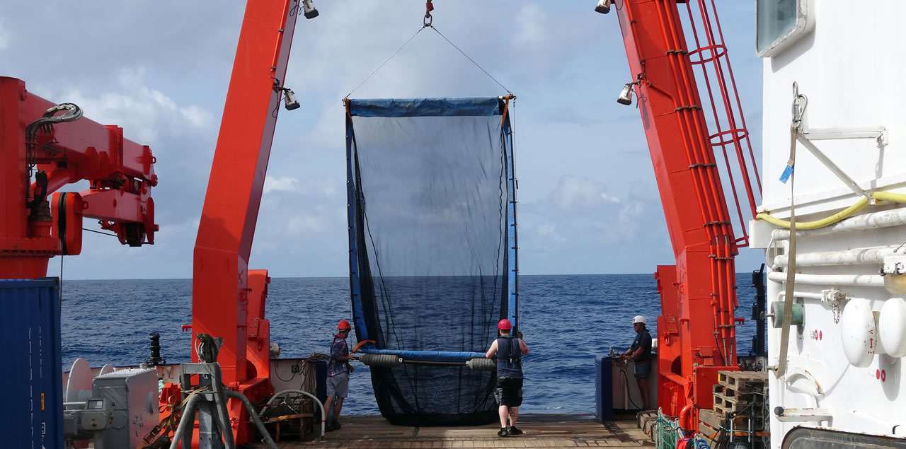 Foto: Leibniz-Zentrum für Marine Tropenforschung Trotz nährstoffreicher Umgebung ist in den letzten Jahrzehnten der Fischbestand im Benguela-Auftriebsgebiet vor Namibia stark zurückgegangen. Trotz nährstoffreicher Umgebung ist in den letzten Jahrzehnten der Fischbestand im Benguela-Auftriebsgebiet vor Namibia stark zurückgegangen.