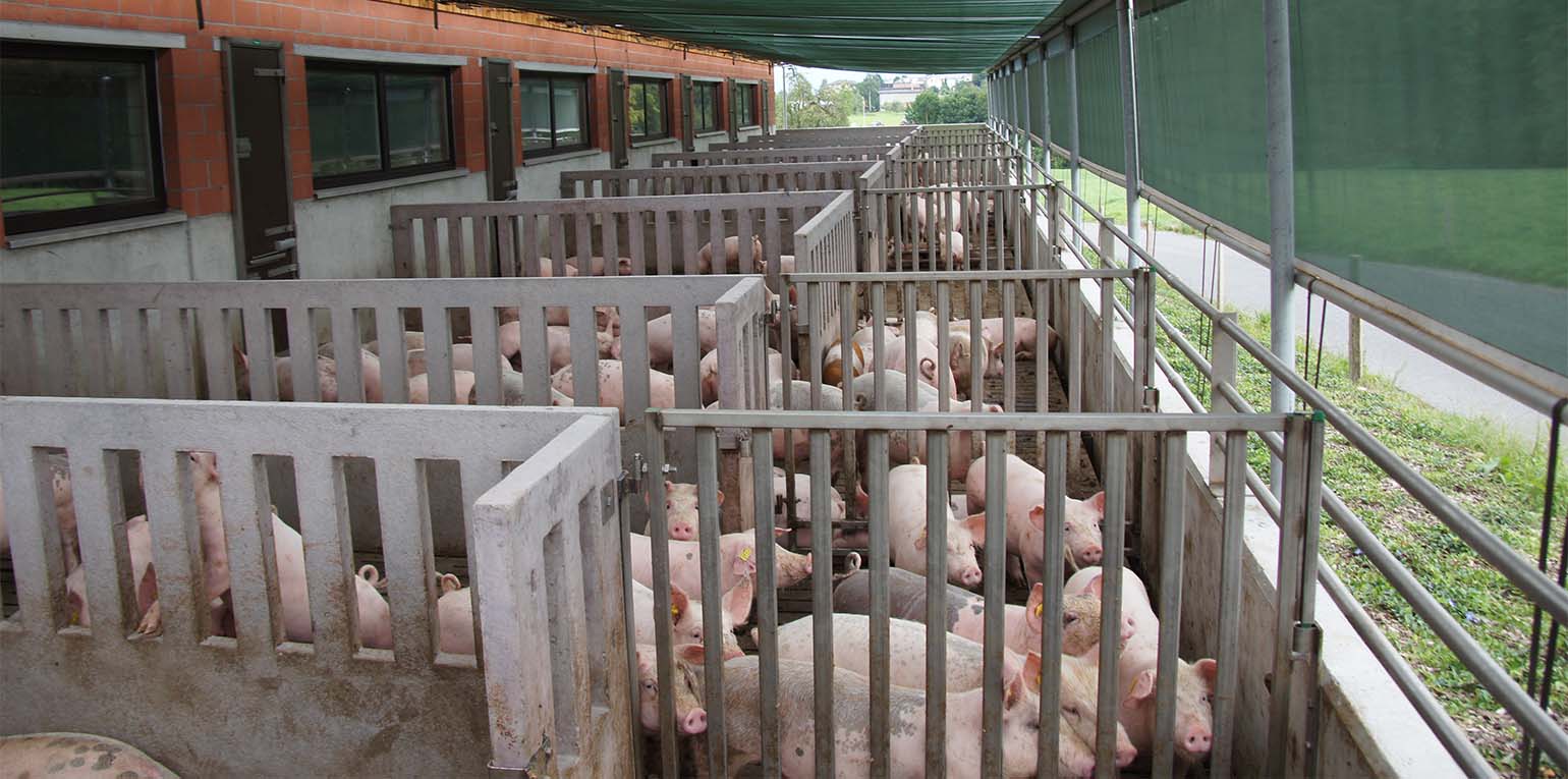 Die größte Zahl an geplanten Aufgaben verzeichnet dabei der Landkreis Cloppenburg mit 25 entsprechenden Ankündigungen. Die Zahl könnte aber weiter wachsen. 