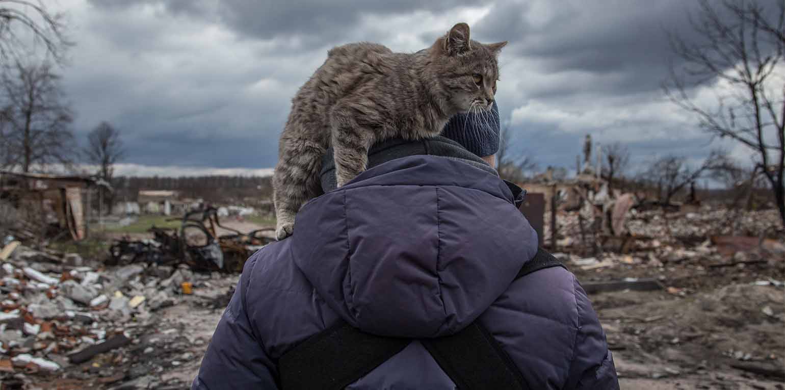 Foto: UNDP Ukraine / CC BY-ND 2.0 (via Flickr)