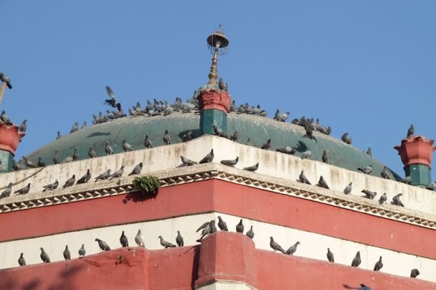 Mauj Darya Schrein in Lahore