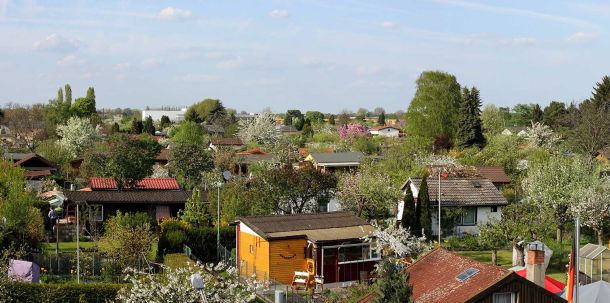 Bisherige Entwürfe zur Sicherung der Kleingärten in Berlin gingen an der Lebenswirklichkeit vorbei.
