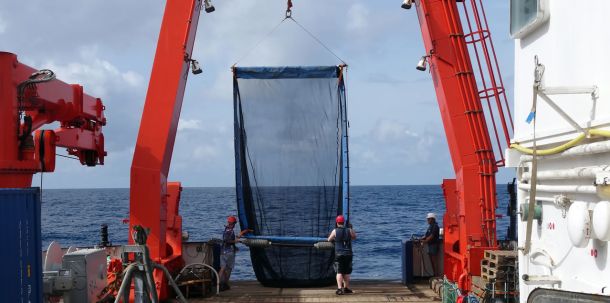Trotz nährstoffreicher Umgebung ist in den letzten Jahrzehnten der Fischbestand im Benguela-Auftriebsgebiet vor Namibia stark zurückgegangen.