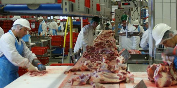 Nach massiven Corona-Ausbrüchen unter Arbeitern hat das Bundeskabinett schärfere Auflagen für die Fleischindustrie beschlossen.