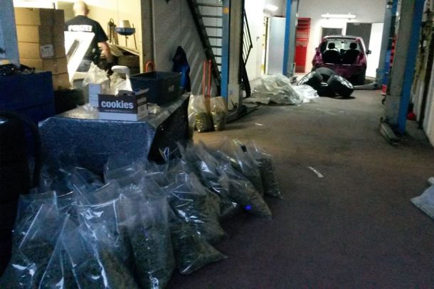 Werkshalle "randvoll" mit rund 500 Kilogramm Marihuana