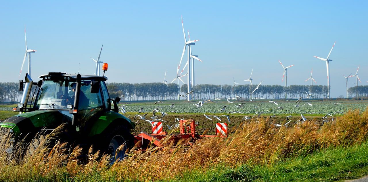 Foto: Frauke Riether / CC0 (via Pixabay)