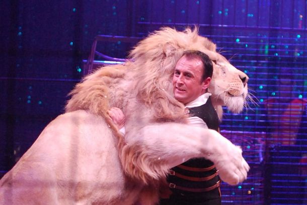 Tierlehrer Manuel Farina im Karlsruher Weihnachtscircus