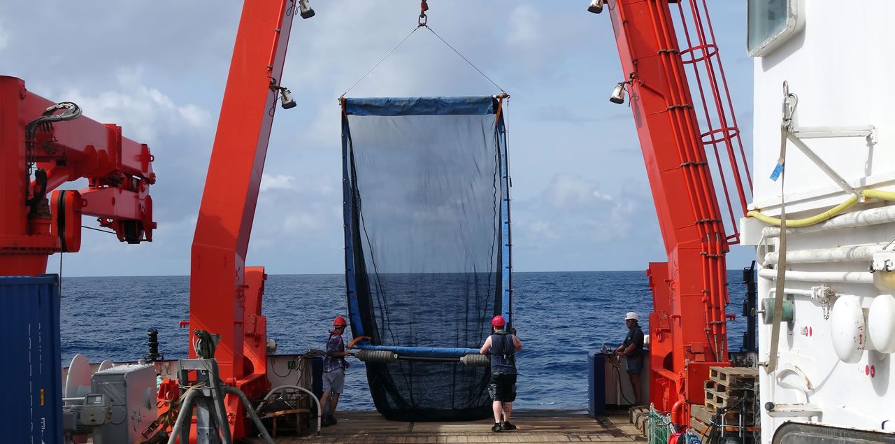 Foto: Leibniz-Zentrum für Marine Tropenforschung