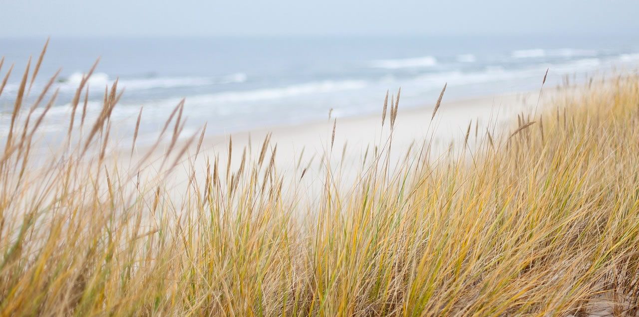 Foto: 4lb  / CC0 (via Pixabay)