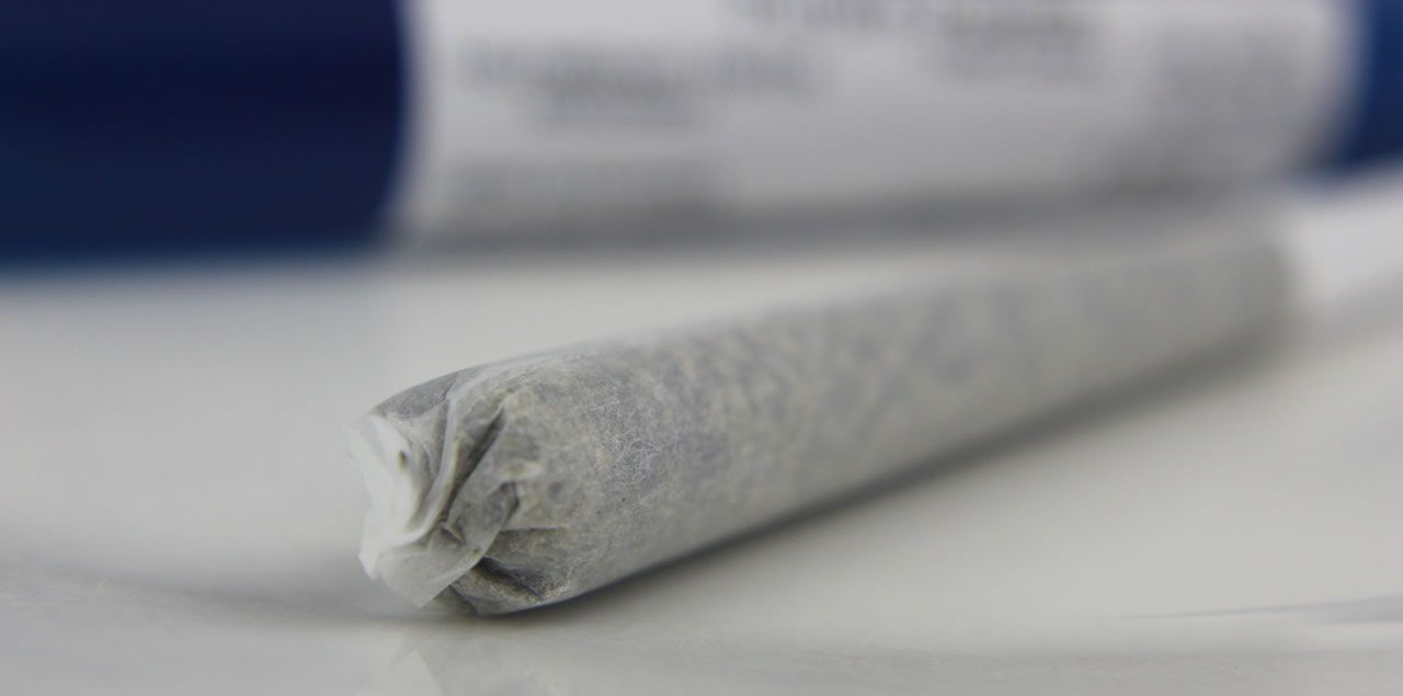 Foto: Hayley Zacha / CC0 (via Pixabay)