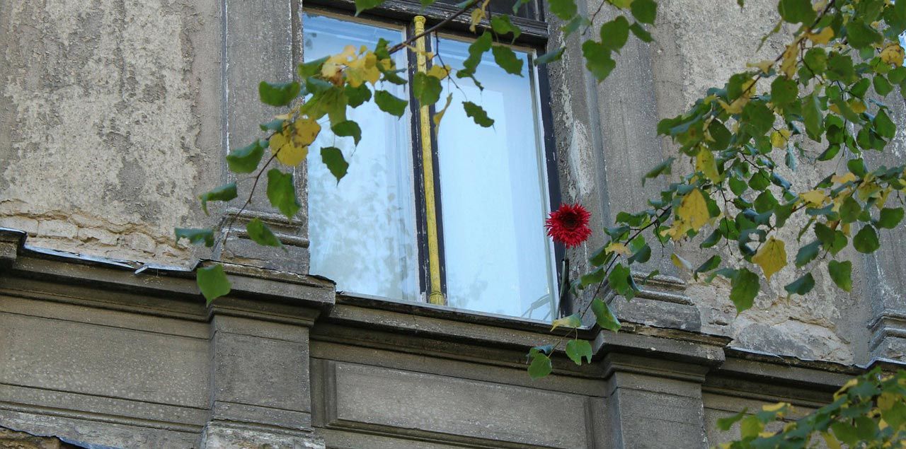 Foto: cocoparisienne / CC0 (via Pixabay)