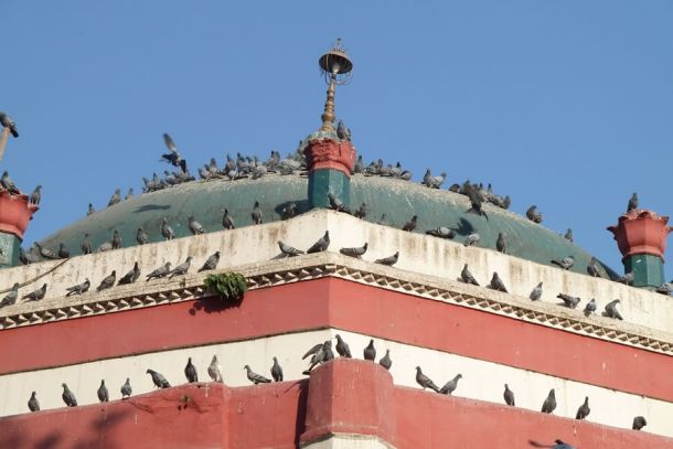 Mauj Darya Schrein in Lahore