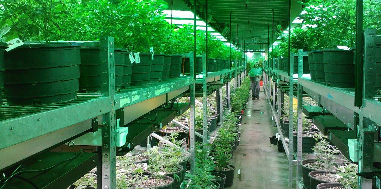 Foto: noexcusesradio / CC0 (via Pixabay)