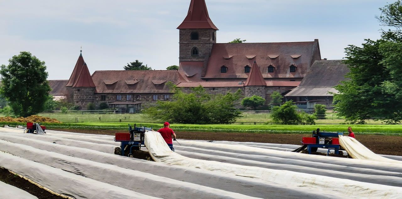 Foto: Gerhard Gellinger  / CC0 (via Pixabay)