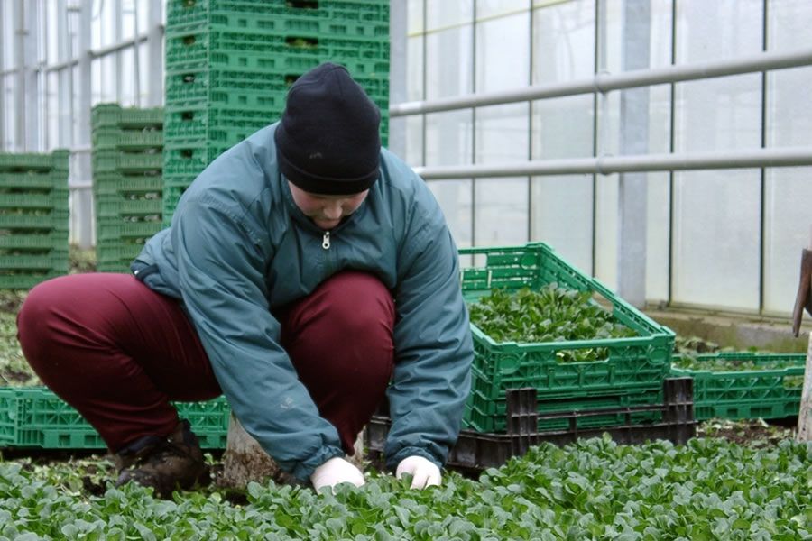 Bild: bauernverband / CC BY 2.0 via Flickr