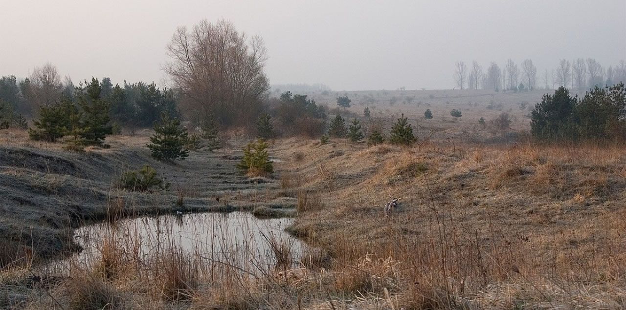Foto: Jungsystems / CC BY-SA 4.0 (via Wikimedia Commons)