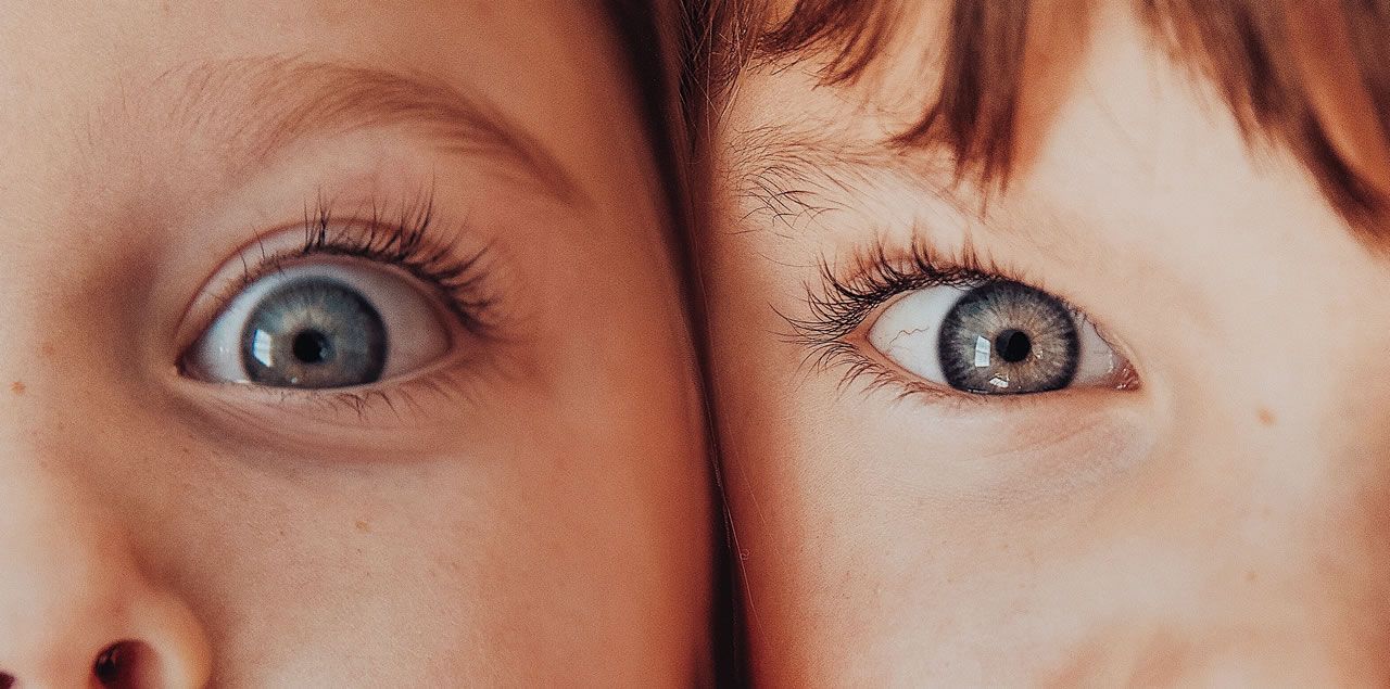 Foto: JoEllen Moths / CC0 (via Pexels)