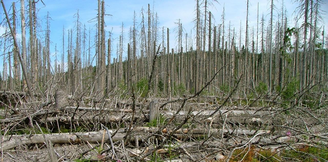 Foto: Kurt Seebauer / CC BY-SA 3.0 (via Wikimedia Commons)