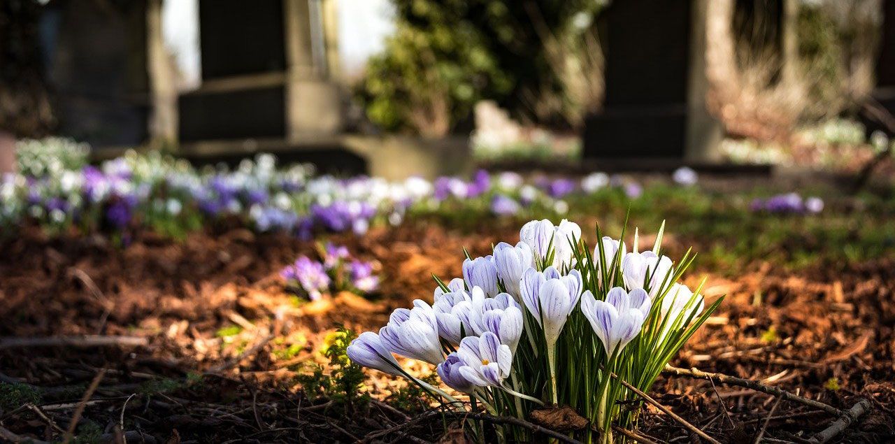 Foto: drippycat / CC0 (via Pixabay)