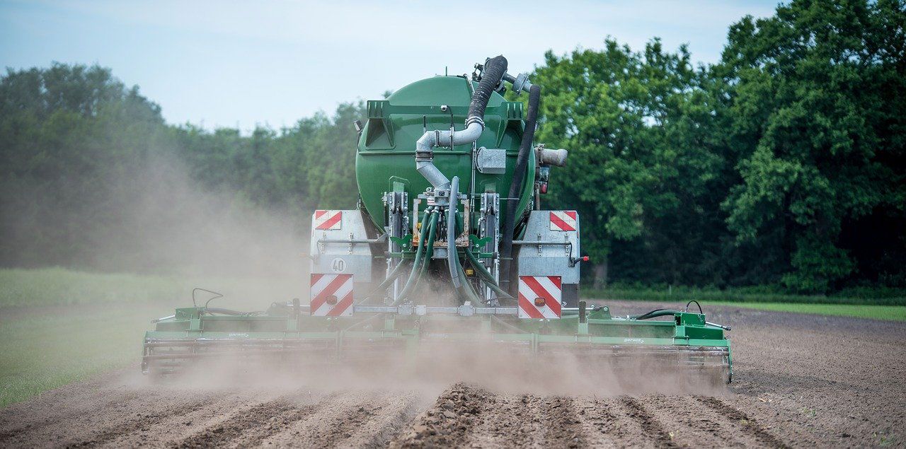 Foto: Wolfgang Ehrecke / CC0 (via Pixabay)