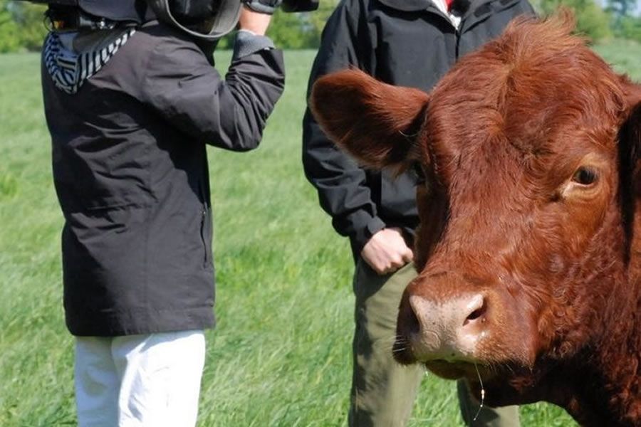 Foto: obs/Demobetriebe Ökologischer Landbau/(c) Bio Ranch Zempow
