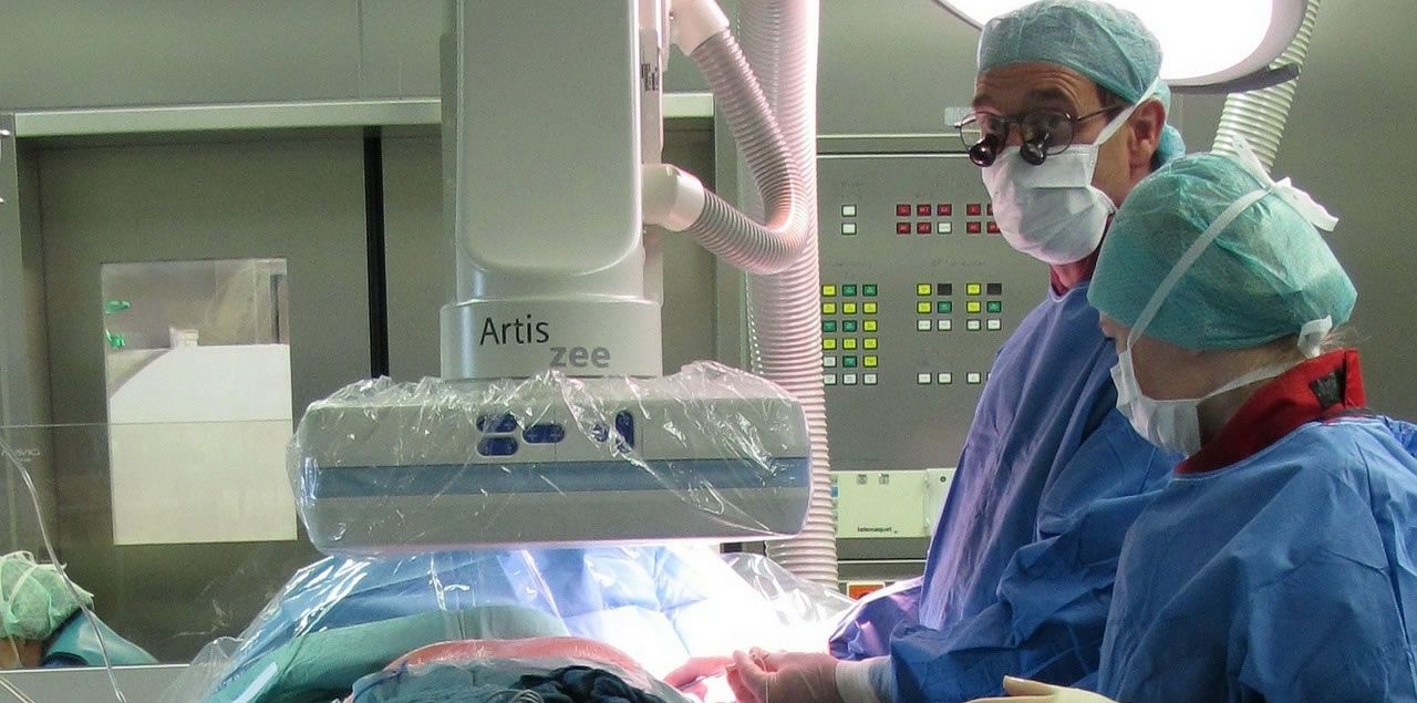 Foto: frank23  / CC0 (via Pixabay)Grae Dickason