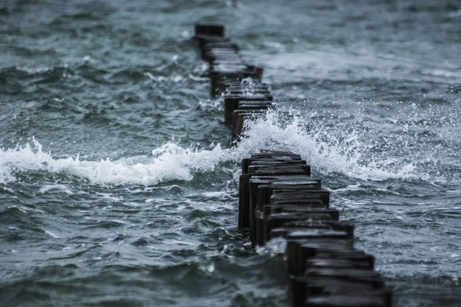 Foto: currens / Pixabay CC0