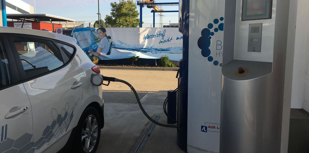 Foto: Dr. Artur Braun (Arturbraun) / CC BY-SA 4.0 (via Wikimedia Commons)