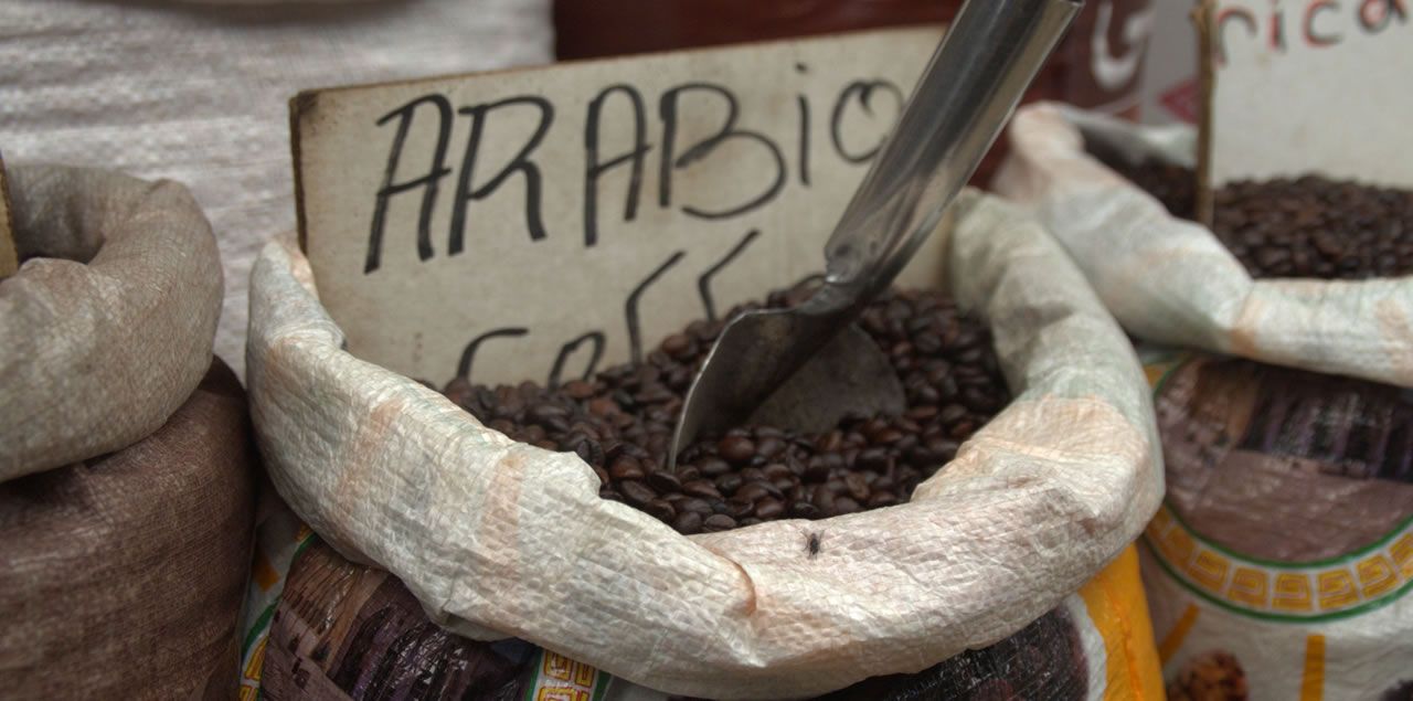 Foto: Marina Shemesh / Public Domain