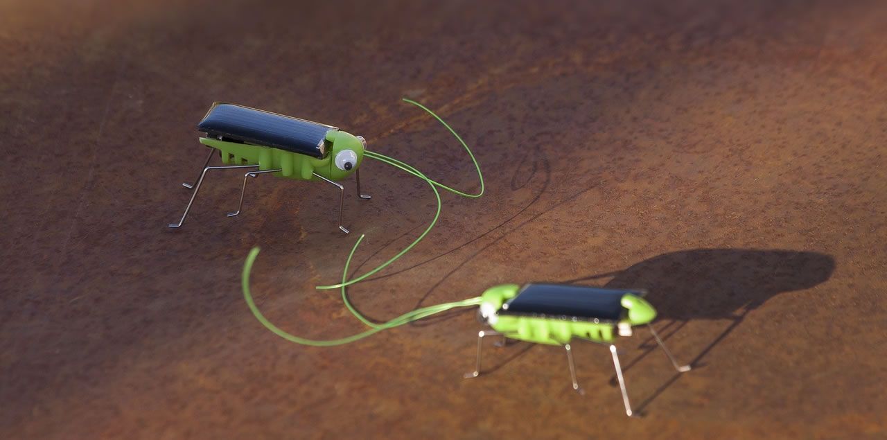 Foto: stux / CC0 (via pixabay)