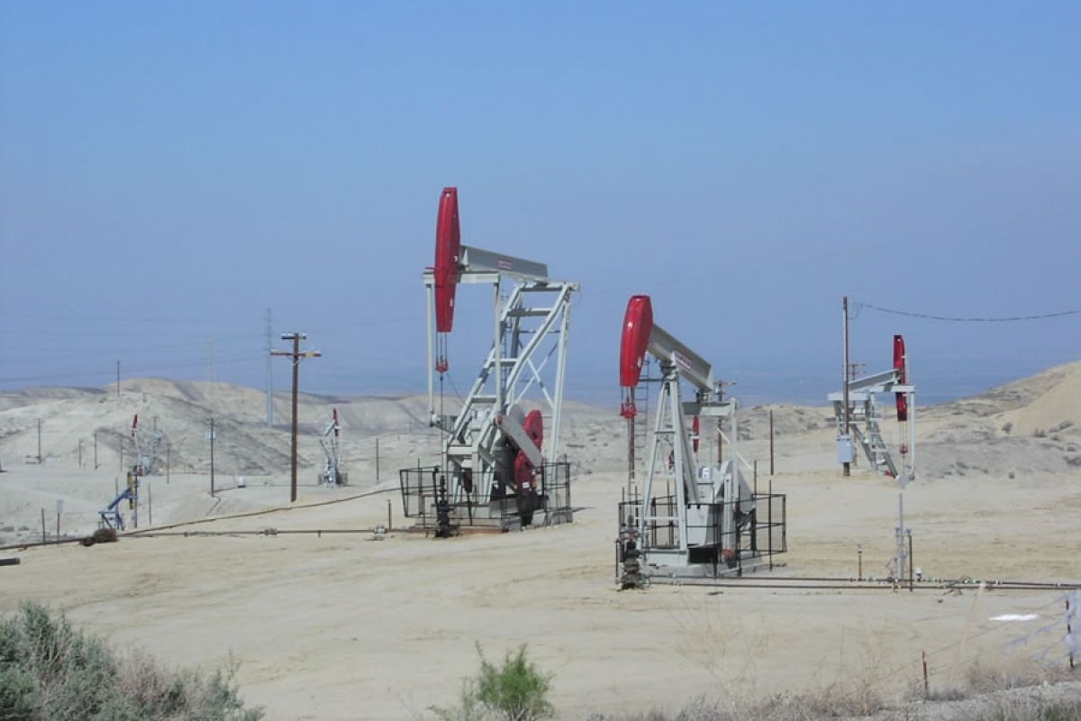 Die OPEC-Staaten wollen ihre Produktion deckeln. Der dadurch steigende Ölpreis schadet der deutschen Wirtschaft.