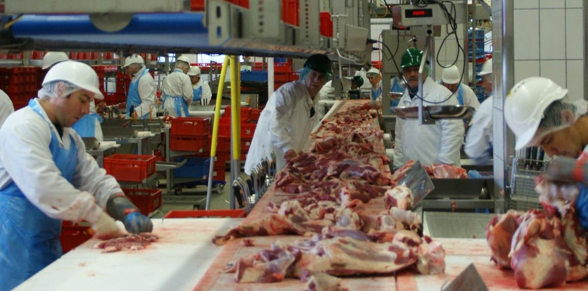 Nach massiven Corona-Ausbrüchen unter Arbeitern hat das Bundeskabinett schärfere Auflagen für die Fleischindustrie beschlossen.