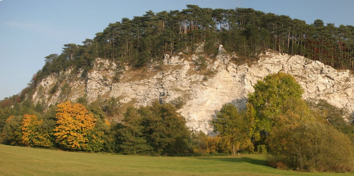 Gips-Steilwand des Sachsensteins bei Bad Sachsa
