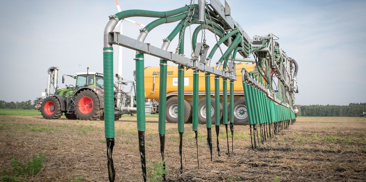 Foto: Wolfgang Ehrecke / CC0 (via Pixabay)